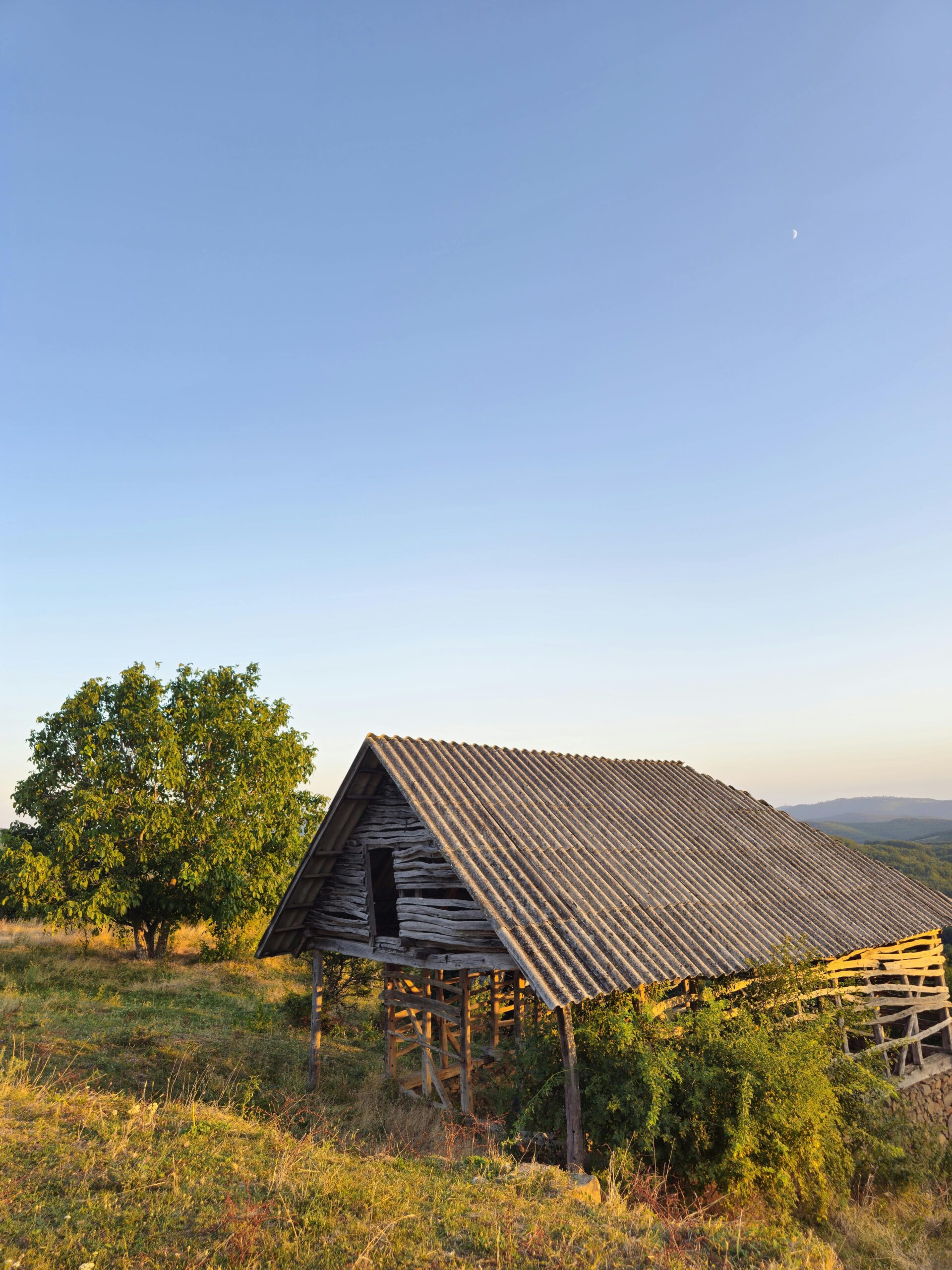 Old wooden farmhouse amidst lush greenery in sunny Serbian landscape.